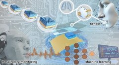 山东理工丛海林等三校结合：可定制可降解的圆